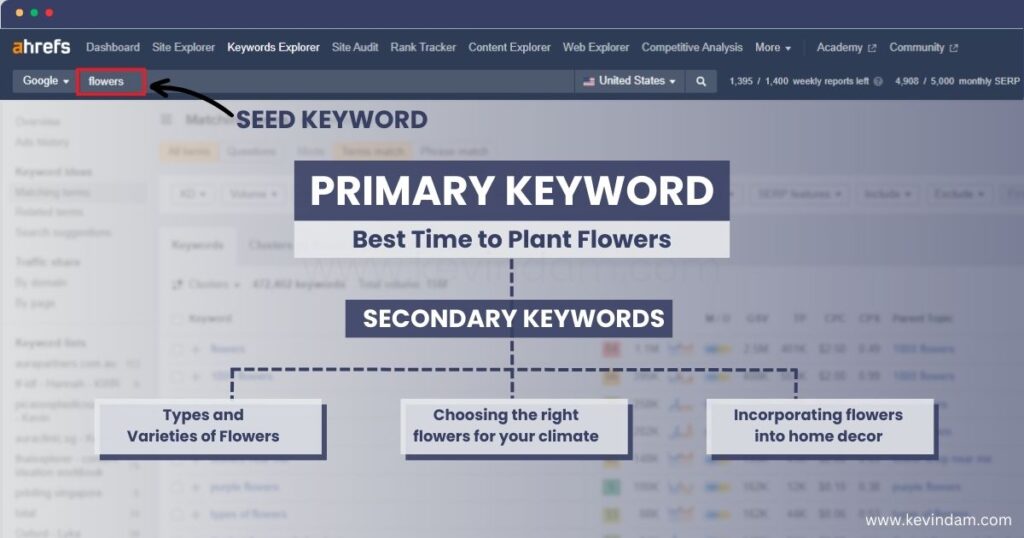 ahrefs dashboard showing seed keyword and a diagram of a primary keyword connected to secondary keywords  